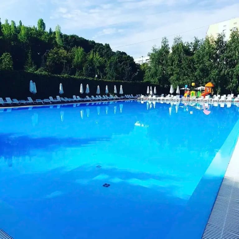 Сокол фото 4