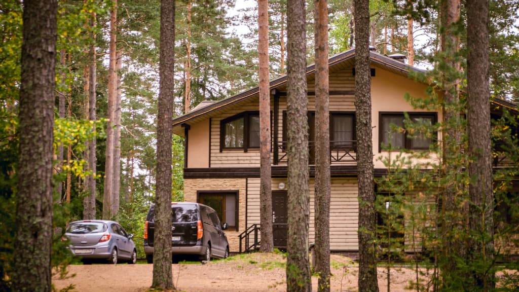 Лесная Рапсодия фото 5