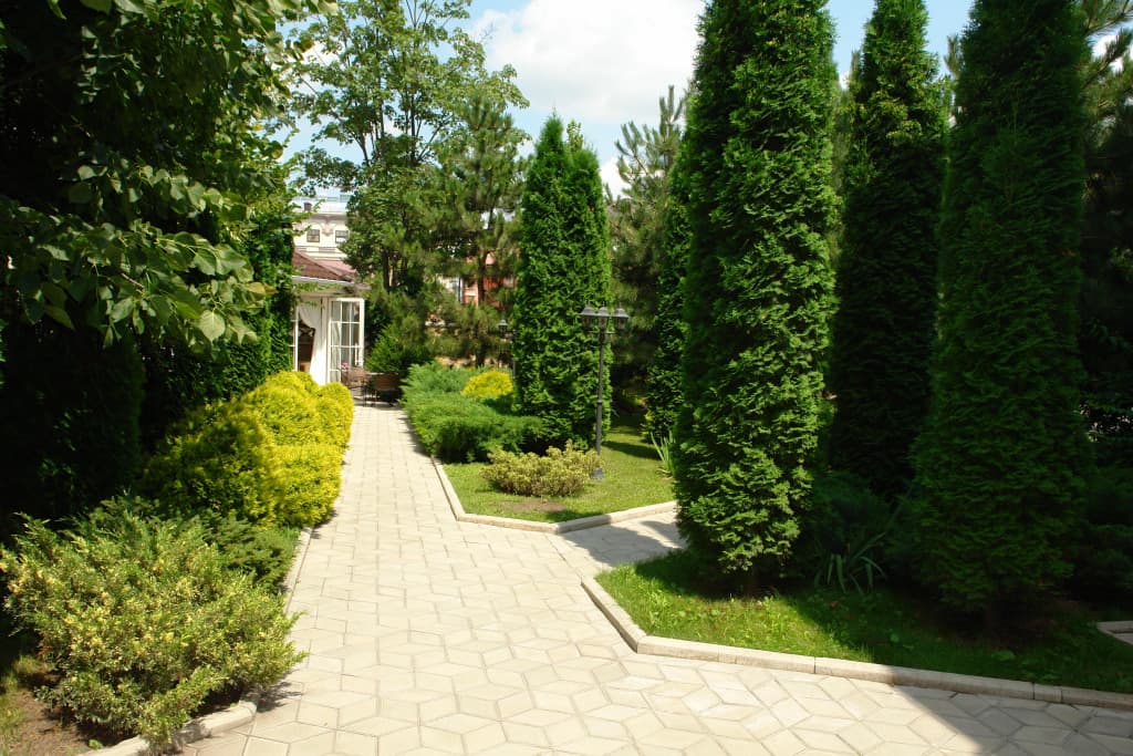 Мини-отель Крокус SPA фото 8