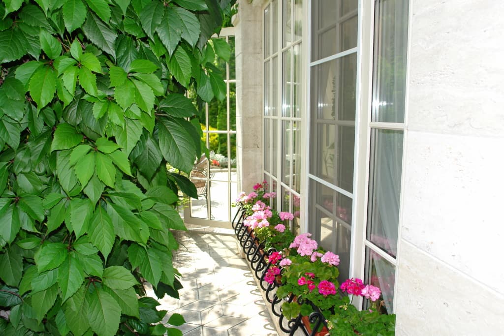 Мини-отель Крокус SPA фото 3