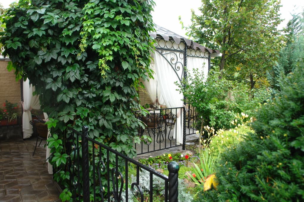 Мини-отель Крокус SPA фото 2