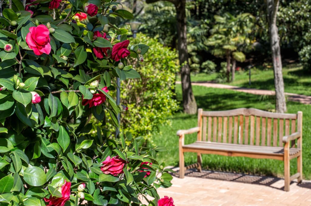 Swissôtel Resort Сочи Камелия (Свиссотель Камелия) фото 5