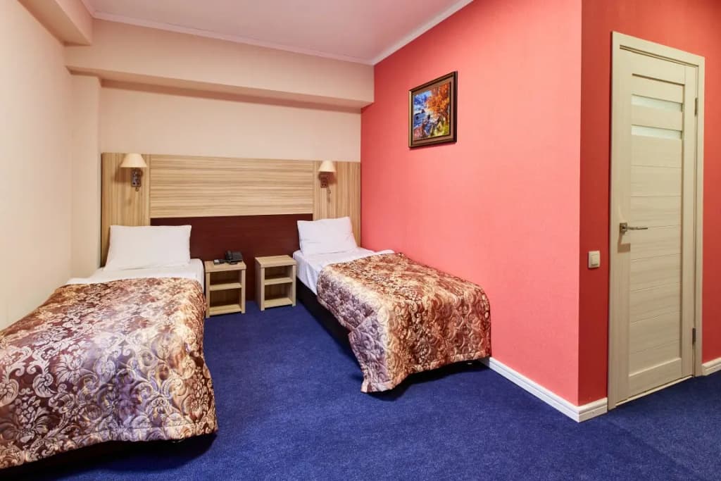 Двухместный номер Standard Superior 2 отдельные кровати фото 1