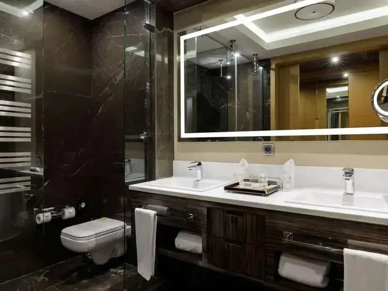 Двухместный номер Deluxe двуспальная кровать фото 4