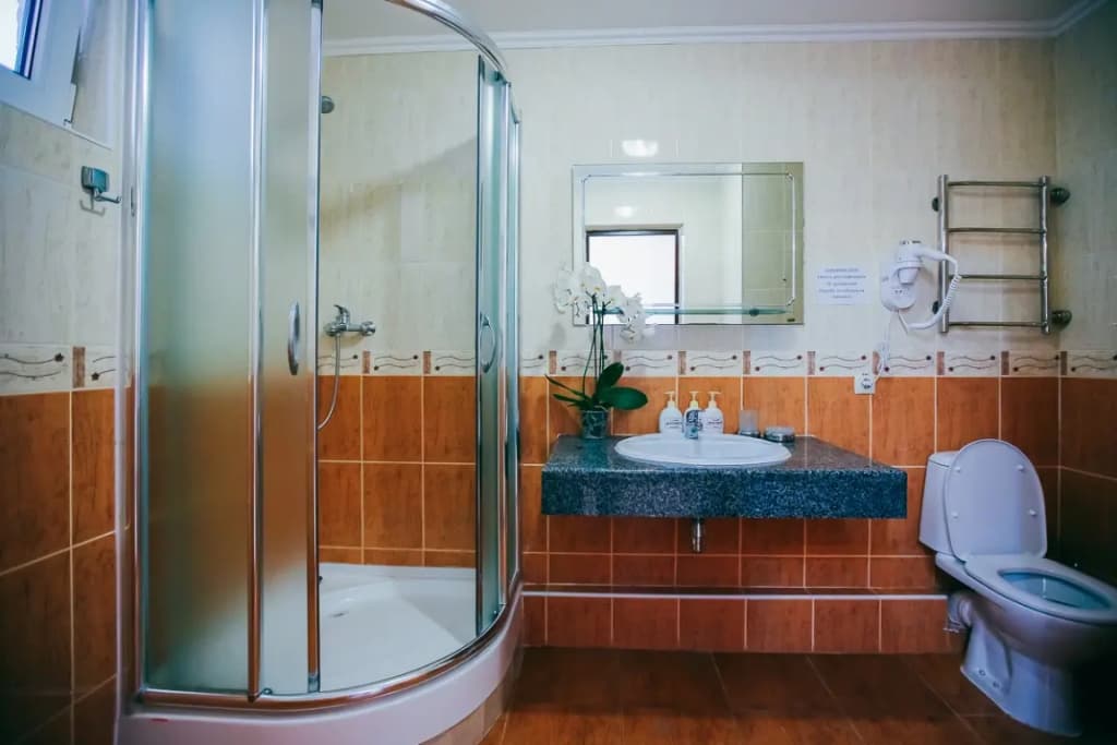 Номер Стандарт Улучшенный с видом на парк фото 3