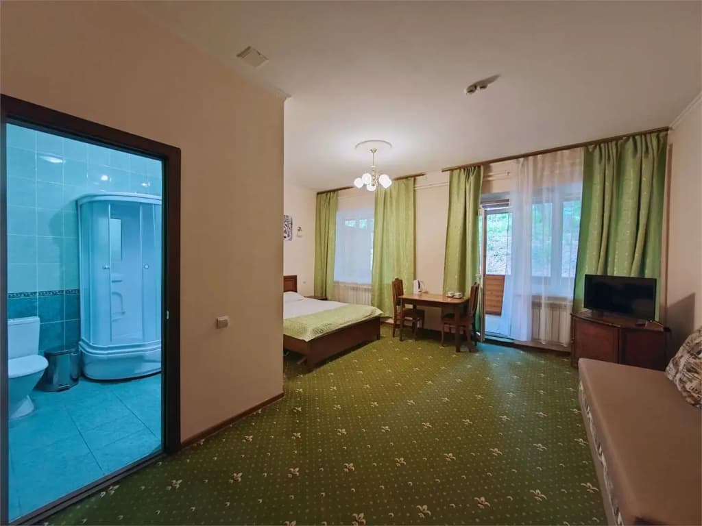 Двухместный номер Делюкс с балконом двуспальная кровать фото 2