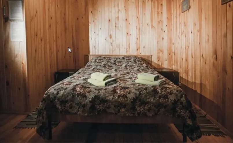Двухместный номер в Гостинице на берегу реки с мангальной зоной двуспальная кровать фото 2