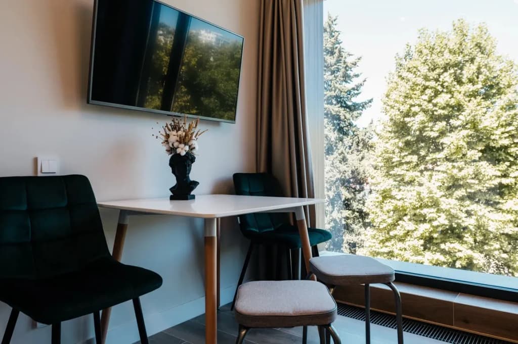 Апартамент Premium с 2 комнатами с красивым видом из окна фото 7