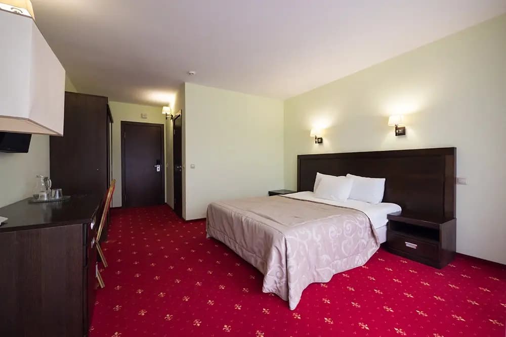 Двухместный номер Comfort (main building)