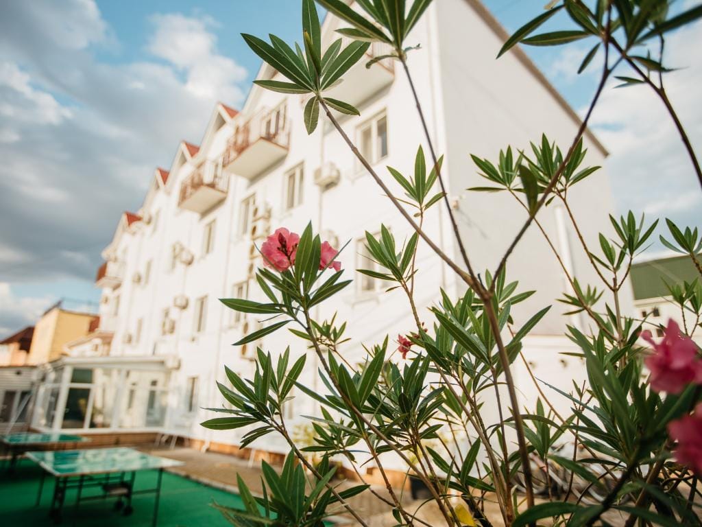 Отель-курорт Бригантина фото 5