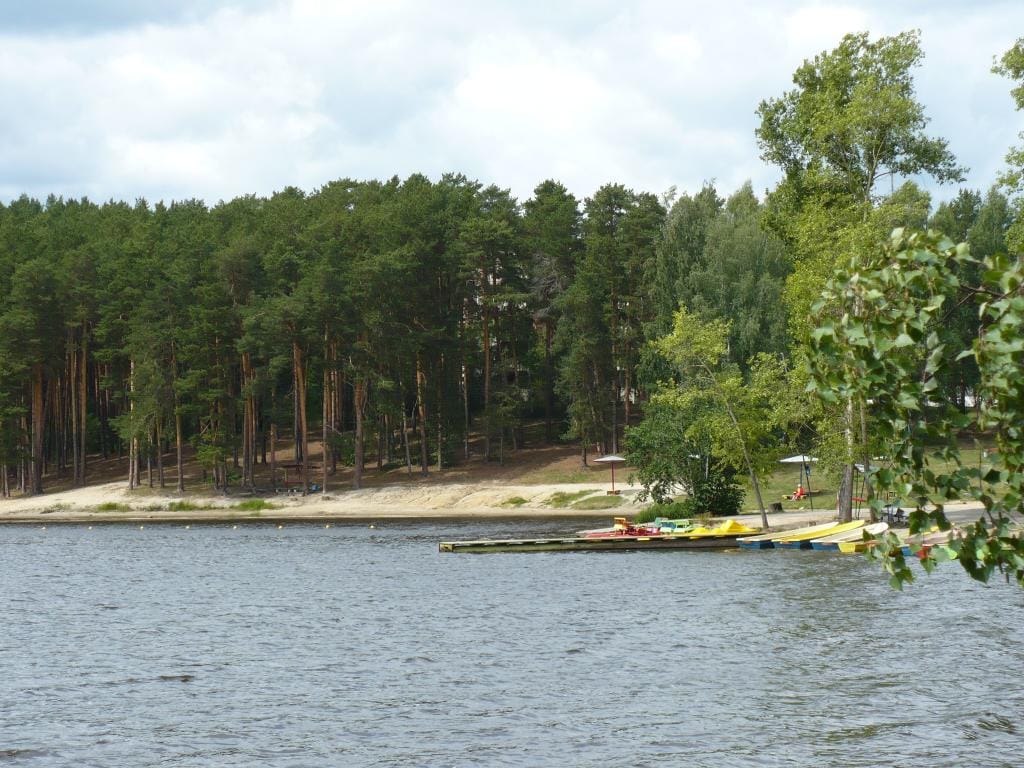 Дальняя Дача фото 5