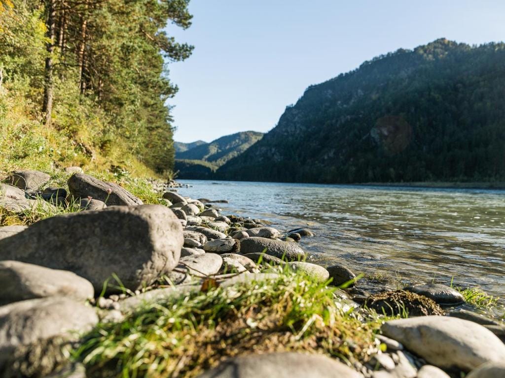 Altay Bereg (Алтай Берег) фото 4
