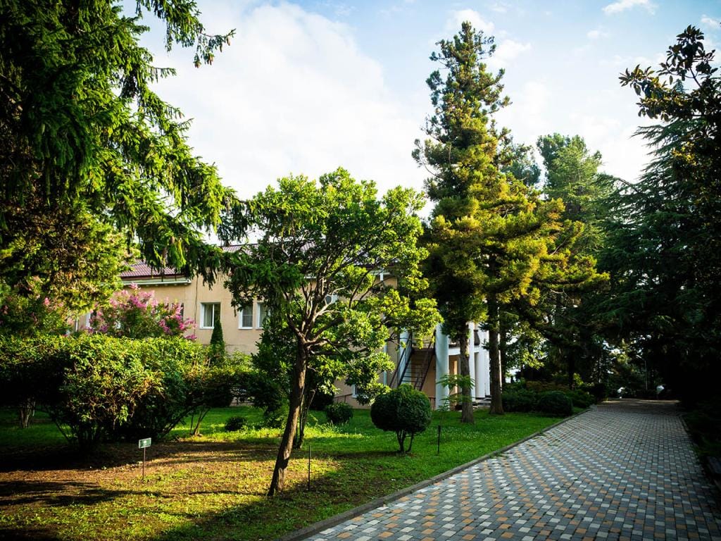 Парк-отель Небуг фото 4