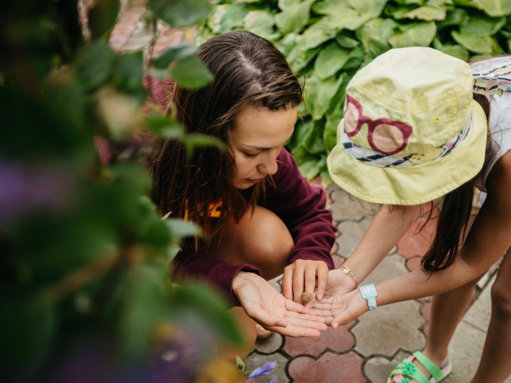 Отель-курорт Бригантина фото 4