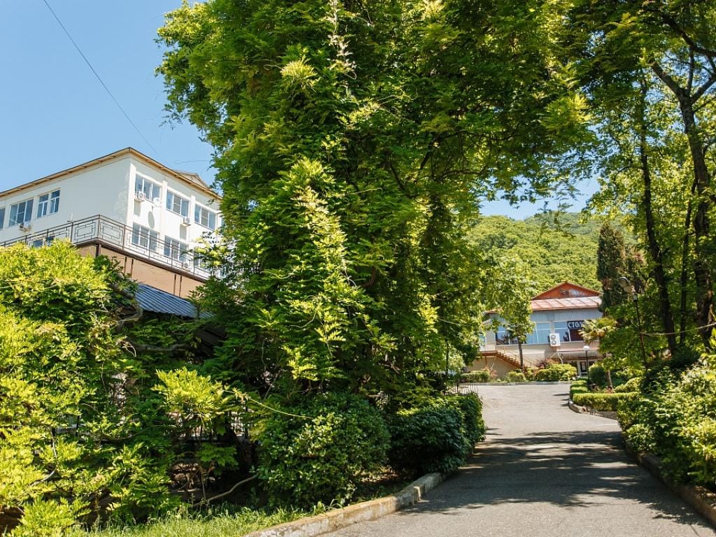 Санаторий Аврора фото 5