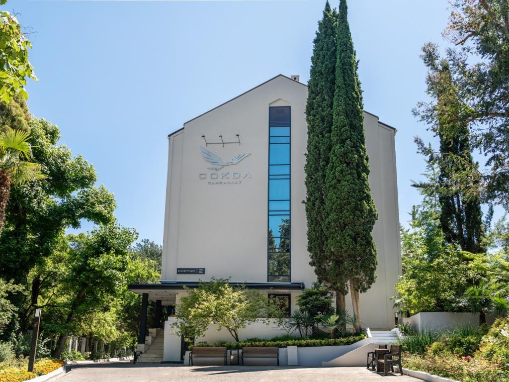 Сокол фото 1