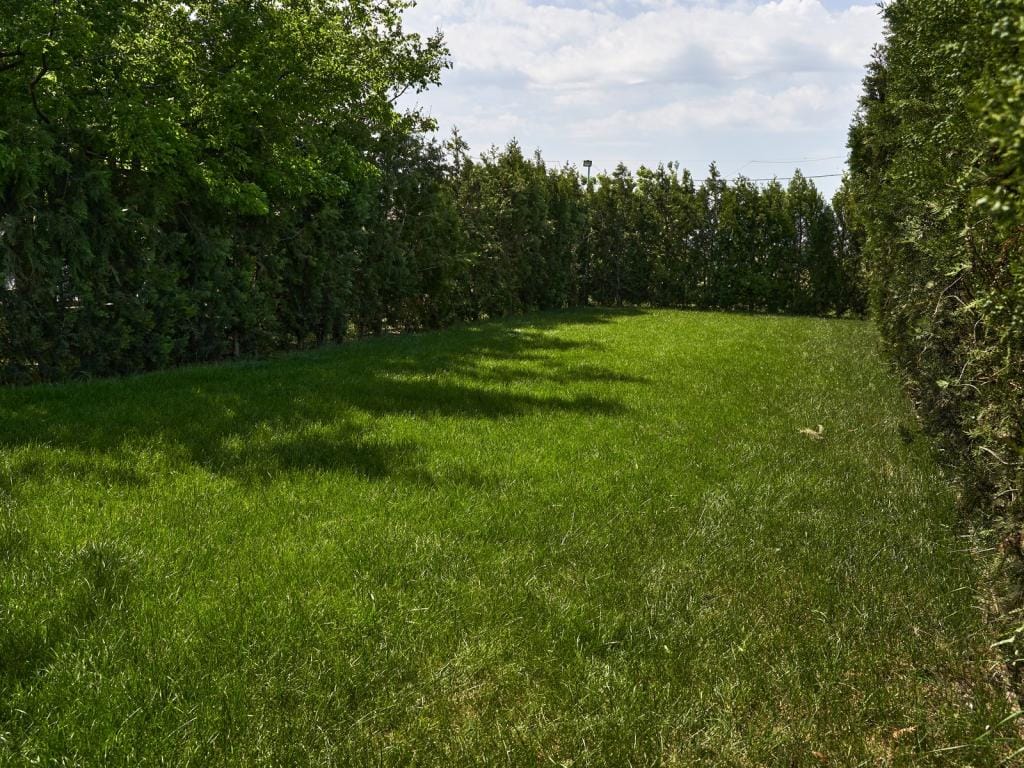 Гринвич фото 3