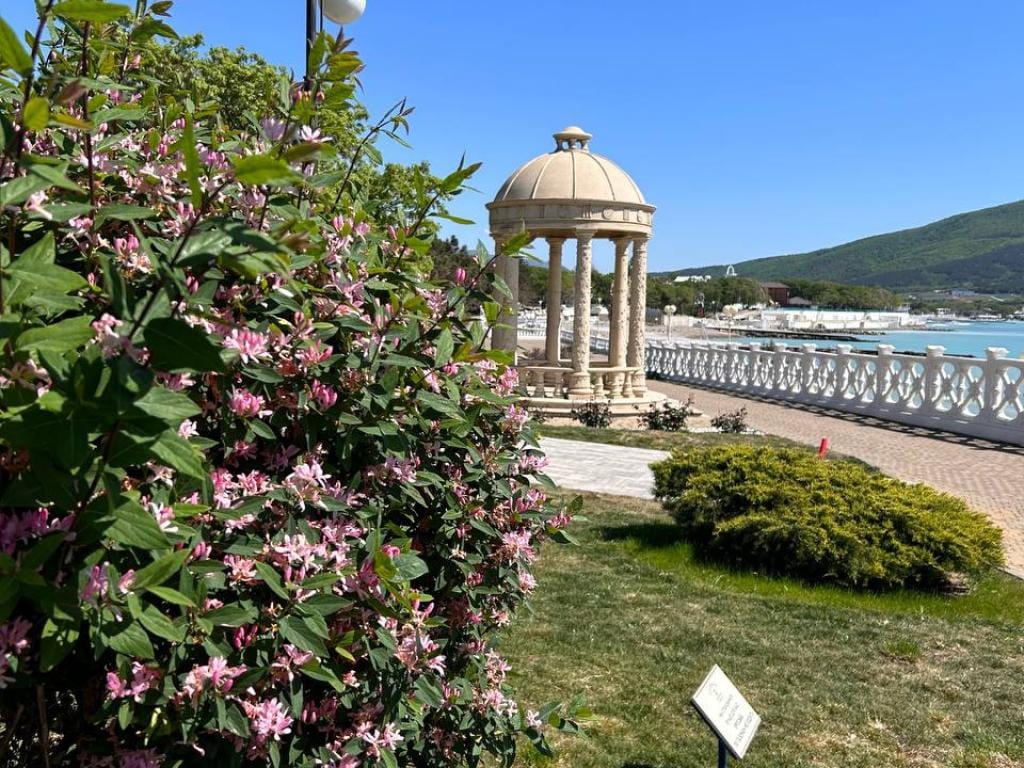 Черноморская здравница Кабардинка фото 1