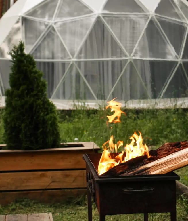 Роял Форест фото 4