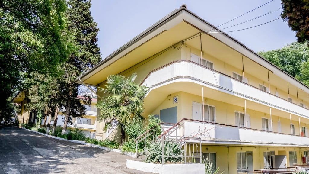 Акация фото 1