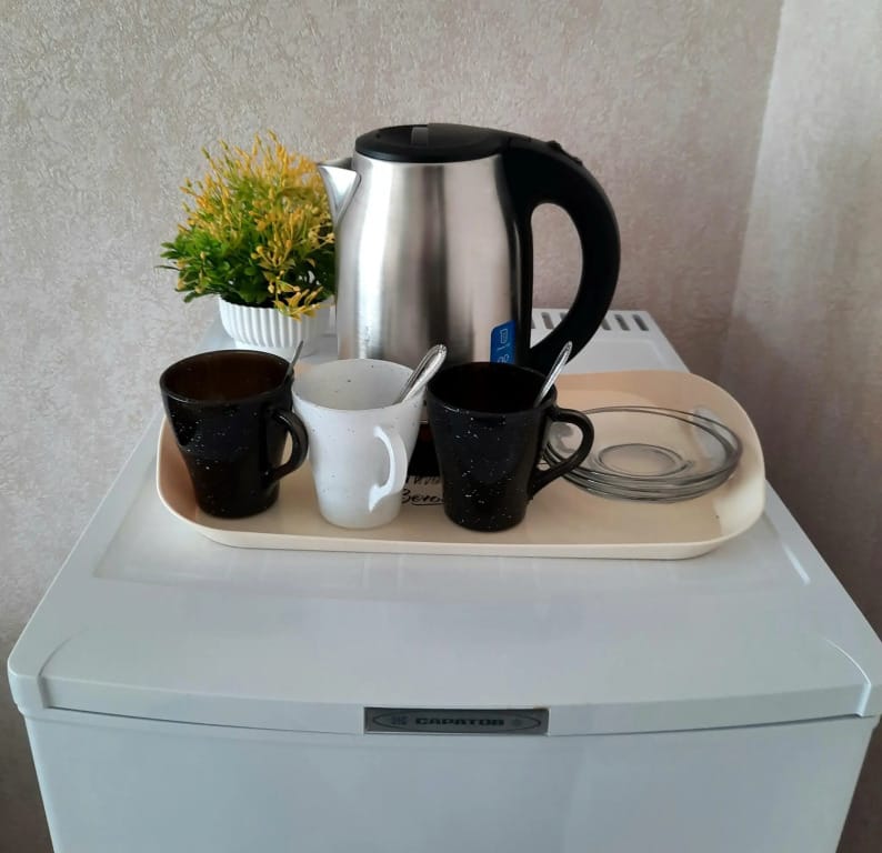 Электра Холидей фото 1