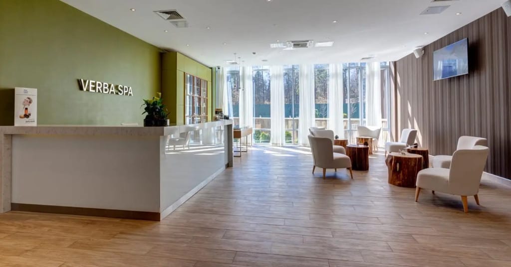 Верба Майер фото 2