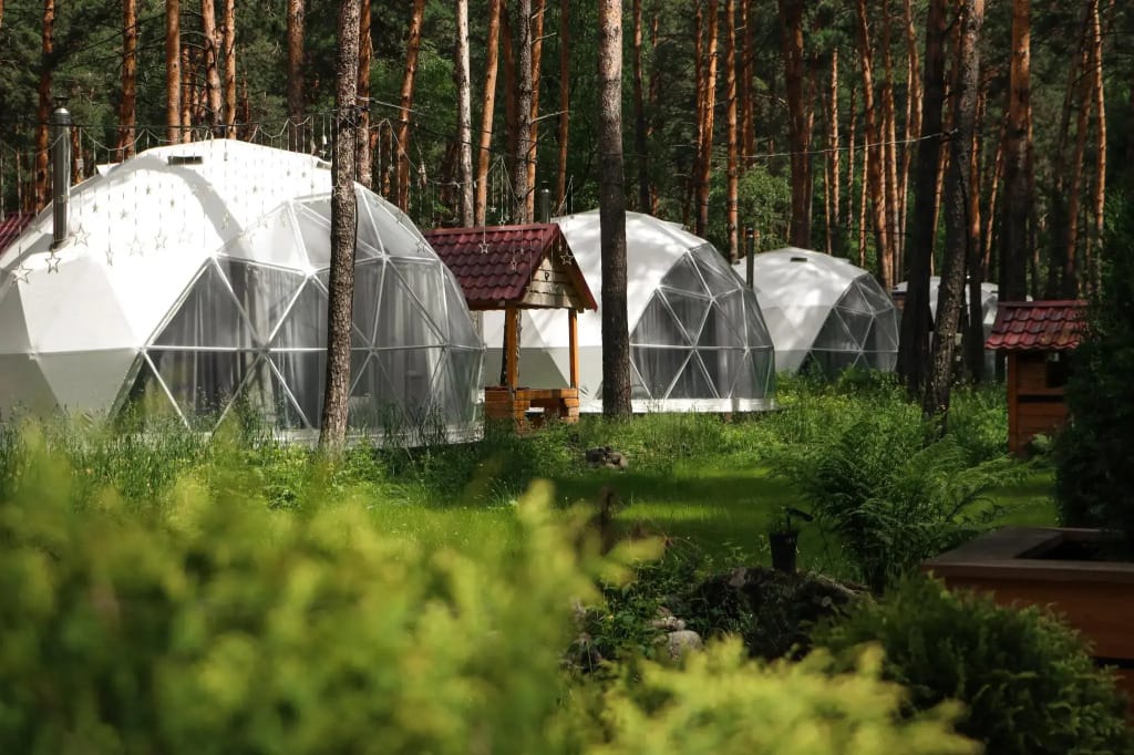 Роял Форест фото 2