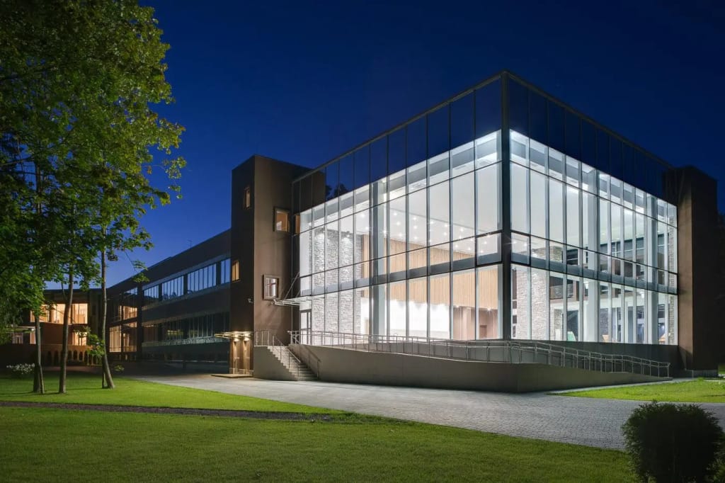 Верба Майер фото 1