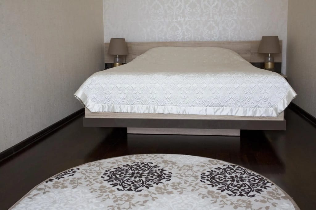 Чайка фото 4