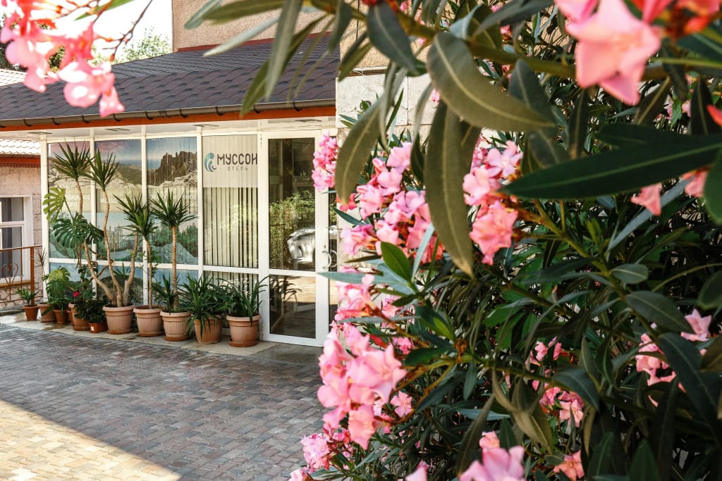 Муссон фото 2