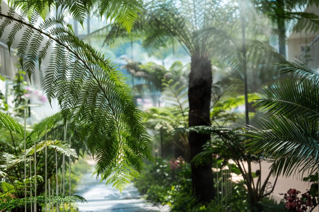 Гостиница Кристалл фото 4