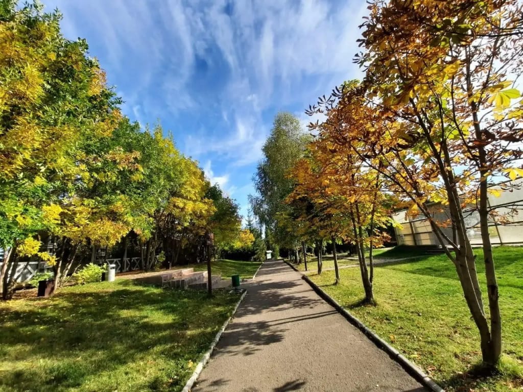 Фореста Фестиваль Парк фото 5