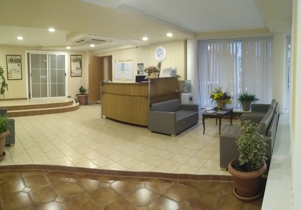 Чайка фото 3