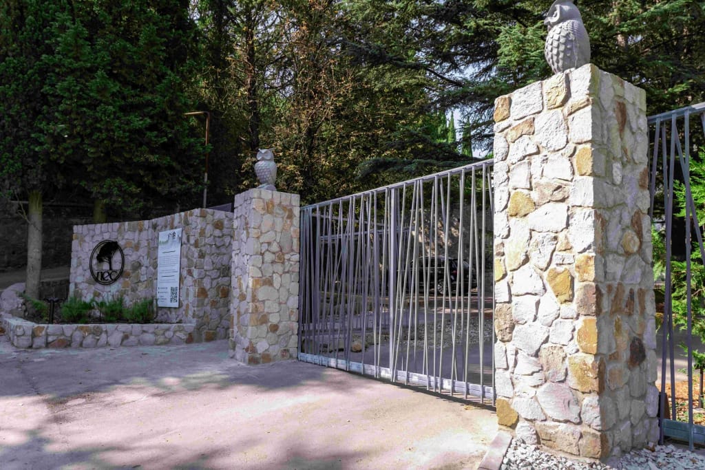 Санаторий Лес фото 3