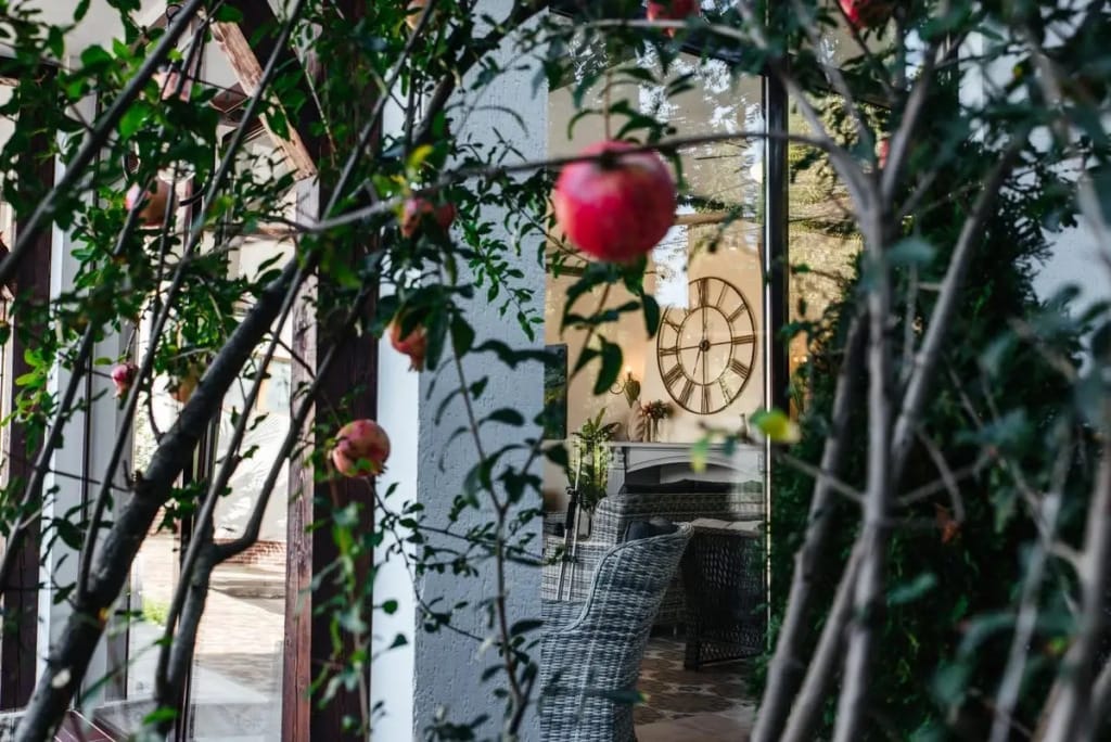 Салют фото 2