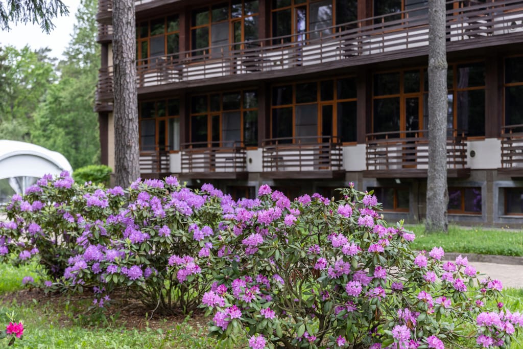 AZIMUT Отель & СПА Репино 4* фото 4