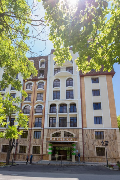 Арника фото 2