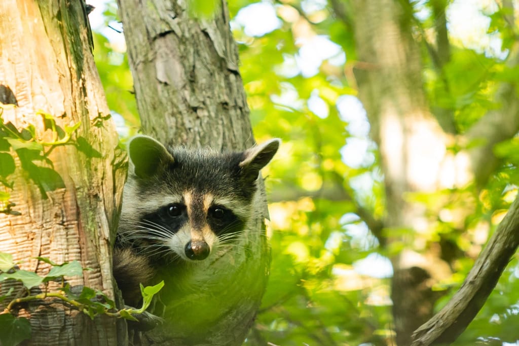 Курортный отель Предгорье Сукко фото 2