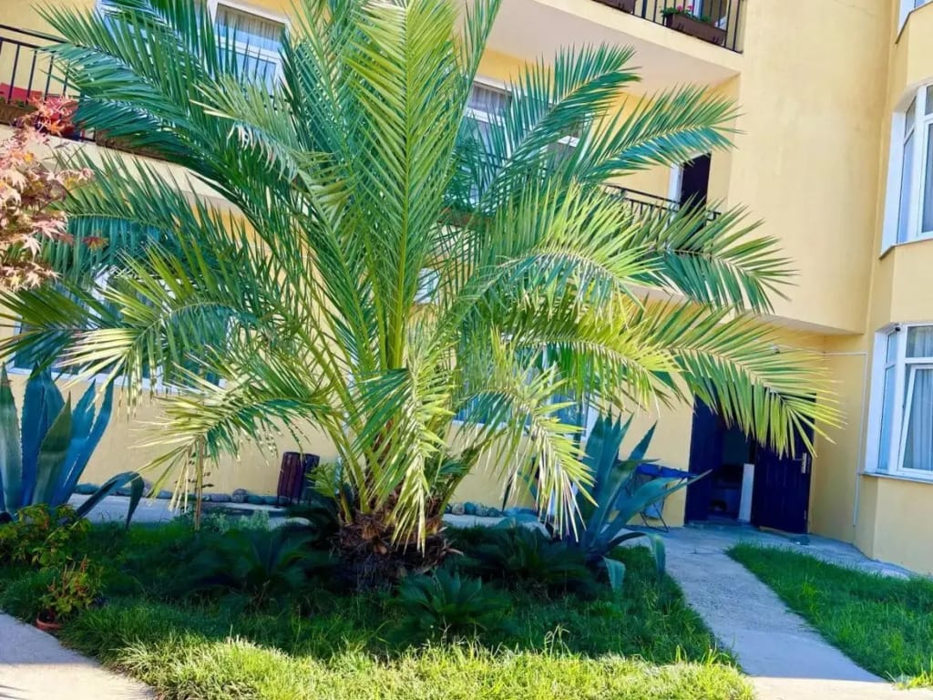 Вилла Валентина фото 4