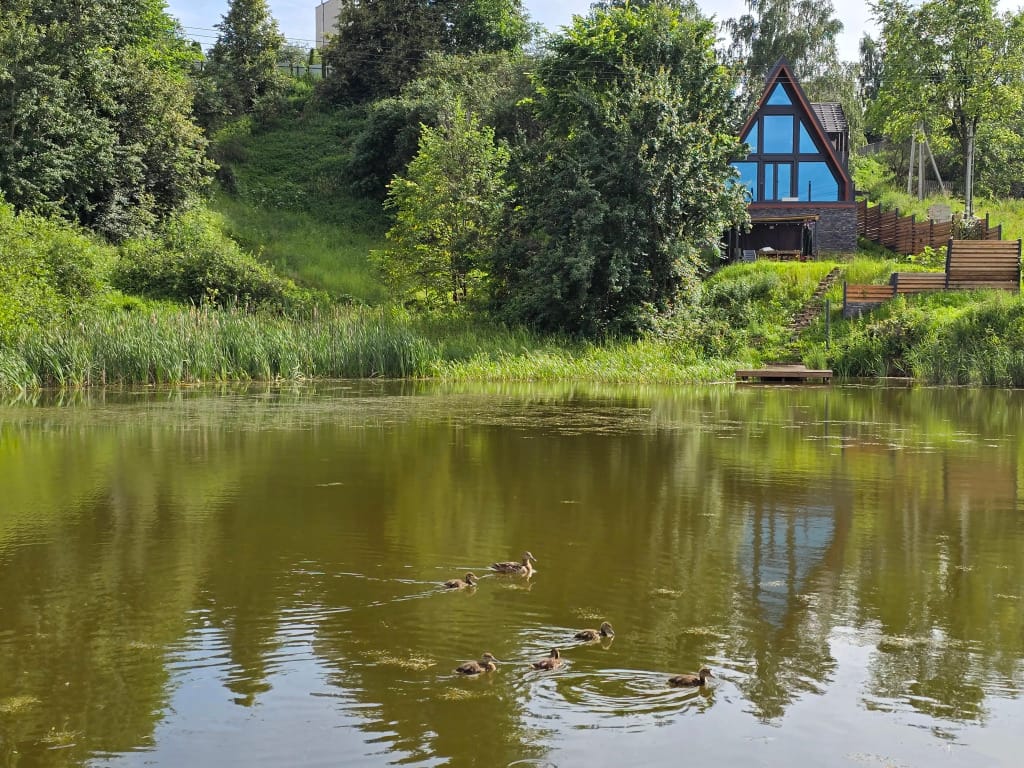 Частный дом СПА у пруда фото 2