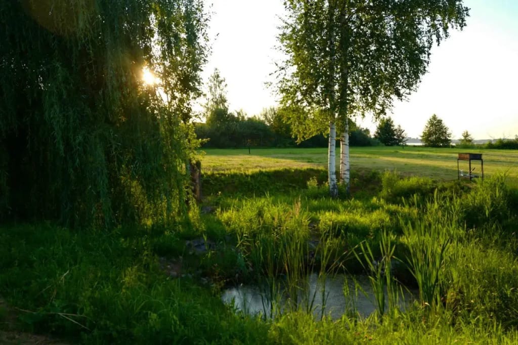 Завидово Резорт фото 4