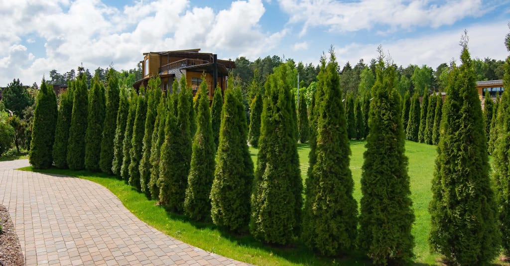 ArtiLand (АртиЛэнд) фото 2