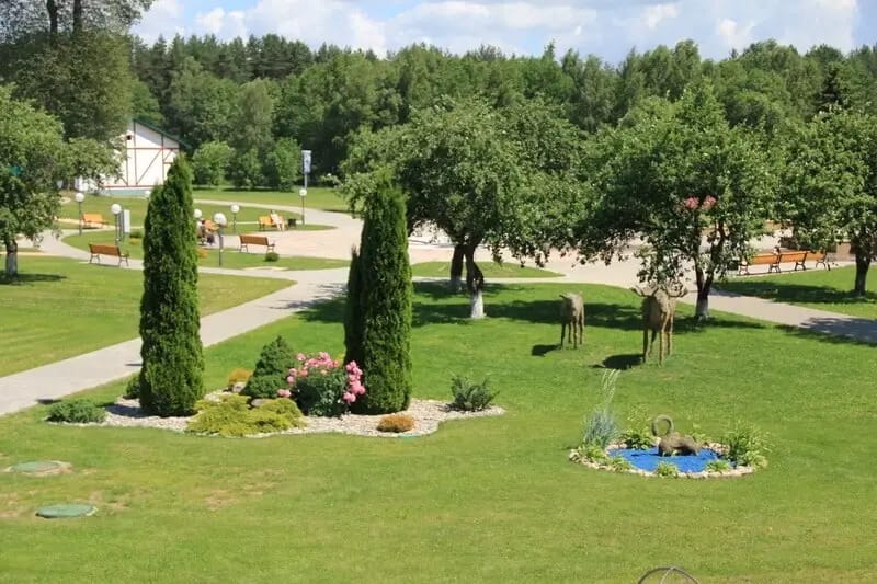 Санаторий Приозёрный фото 5