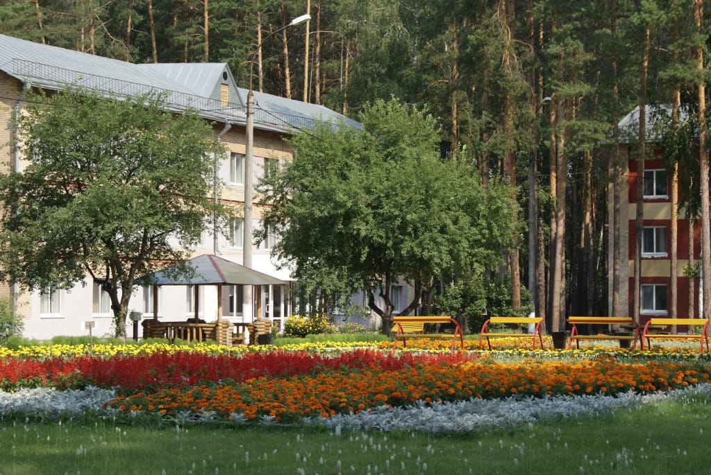 Krasnaya Gvozdika Sanatorium фото 3