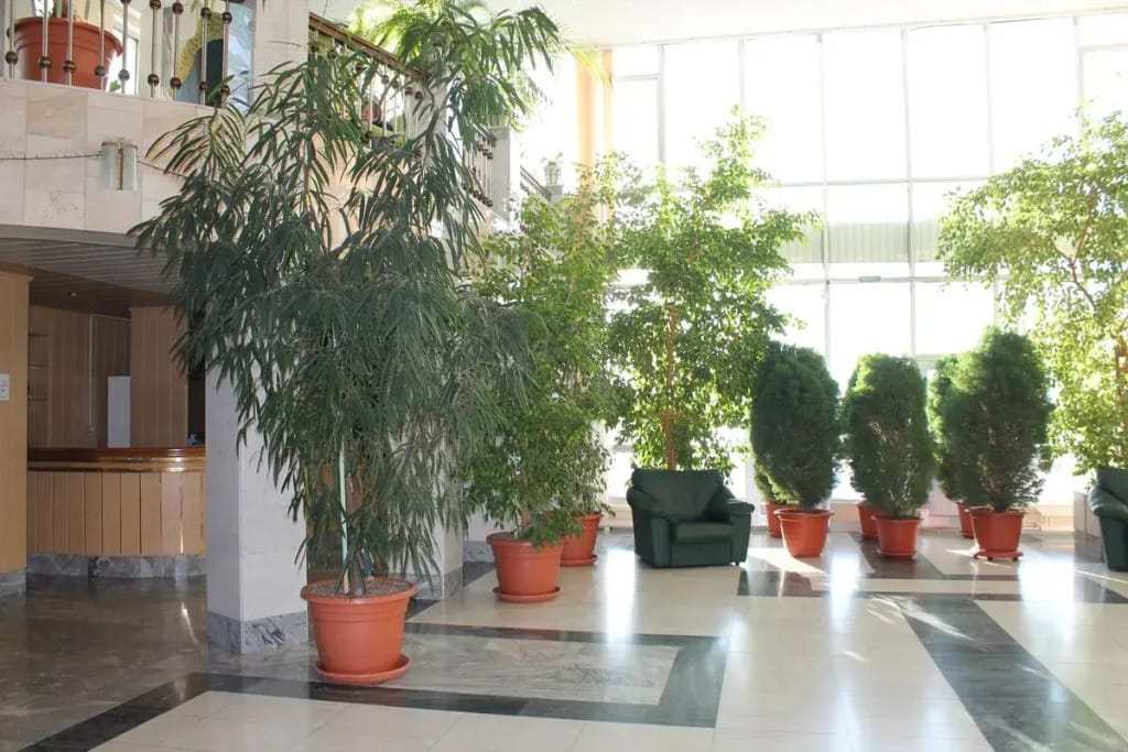 Санаторий Юбилейный (филиал ОАО Санаторий-профилакторий Лукоморье) фото 5