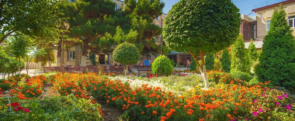 Санаторий Энергетик фото 3