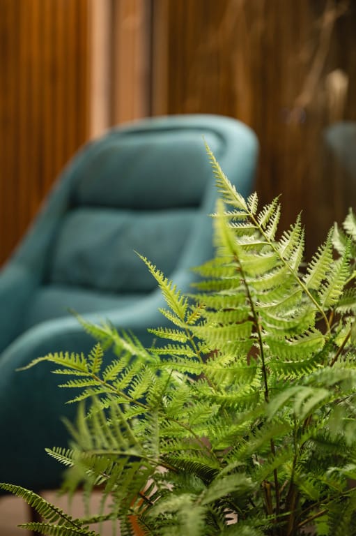 Kamchatka Chalet (Камчатка Шале) фото 4