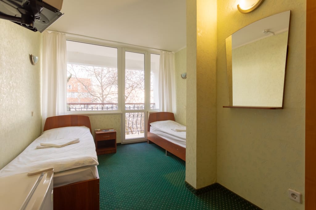 Чайка фото 5