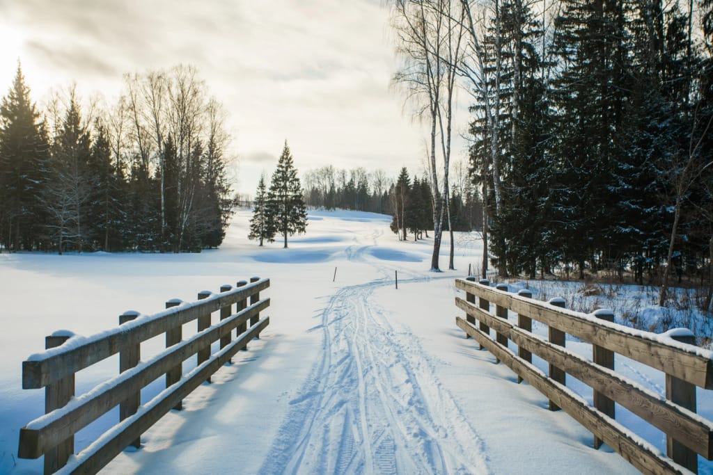 Отель Forest Hills Golf Resort by Moss фото 2