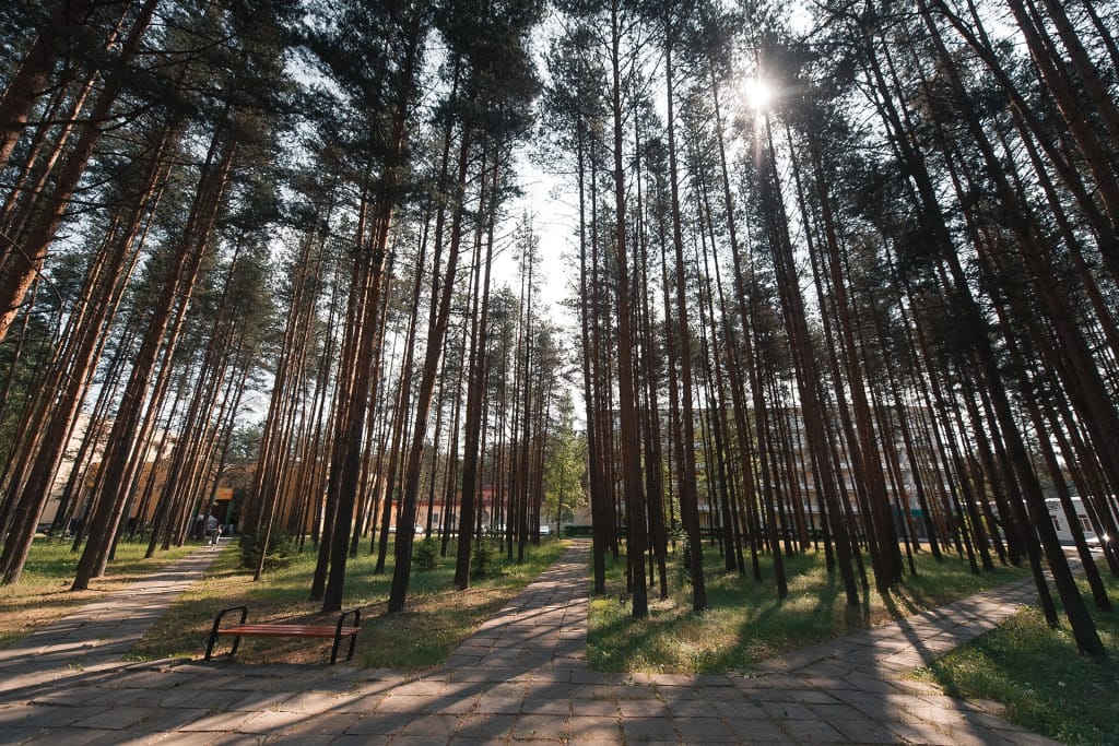 Санаторий Золотой Колос фото 2